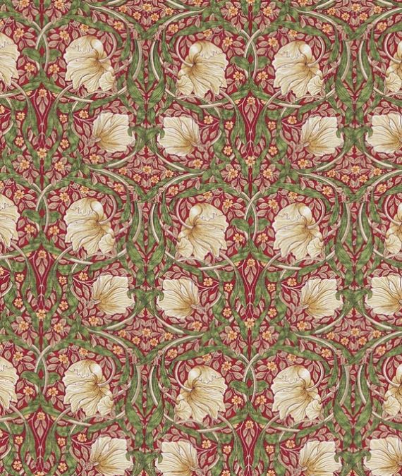 Pimpernel Red Thyme 226723